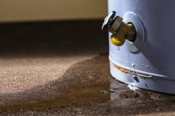 Best Flooded house restoration  in Williamstown, WV