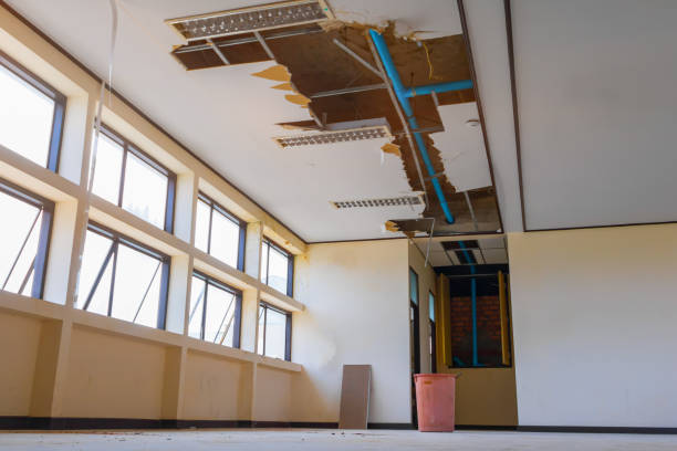 Williamstown, WV Water damage restoration Company