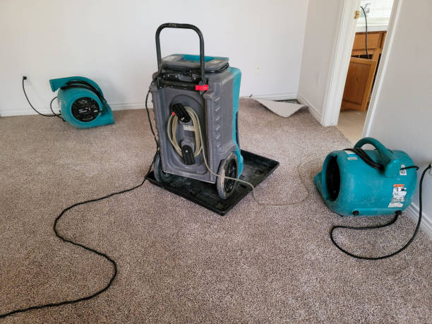 Best Water damage restoration near me  in Williamstown, WV
