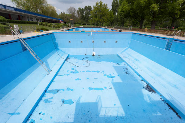 Best Carpet water damage restoration  in Williamstown, WV