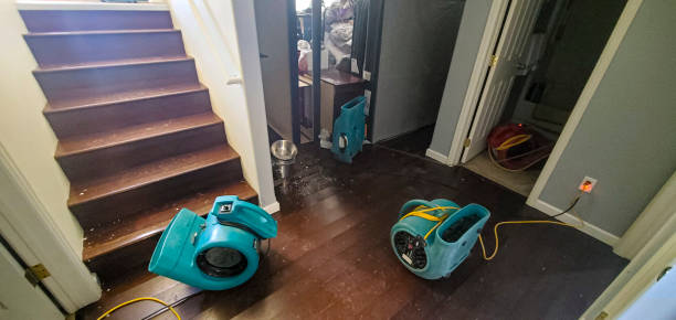 Best Water damage contractors near me  in Williamstown, WV