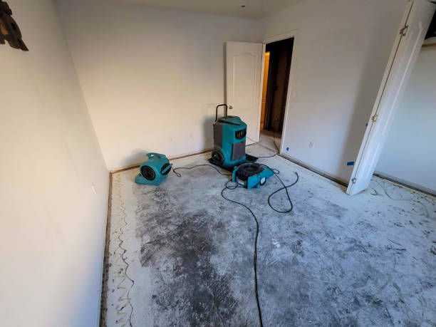 Best Commercial water damage restoration  in Williamstown, WV