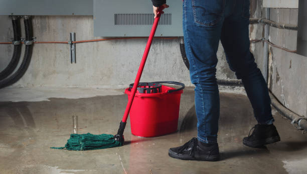 Best Water damage restoration specialists  in Williamstown, WV