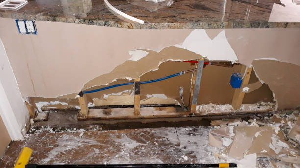 Best Fire Damage Restoration  in Williamstown, WV