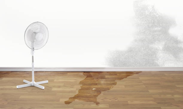 Best Water damage restoration cost  in Williamstown, WV