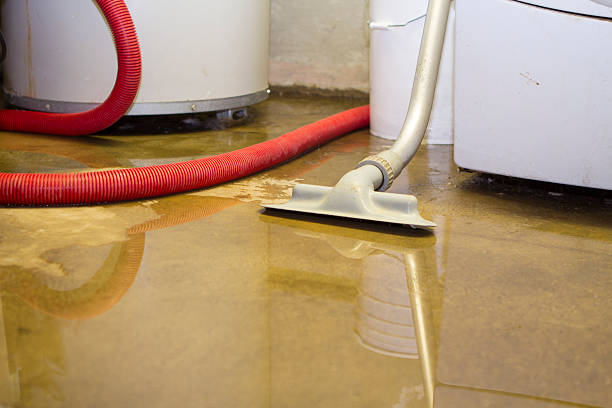 Best Water damage cleanup near me  in Williamstown, WV