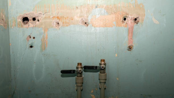 Best 24/7 water damage repair  in Williamstown, WV