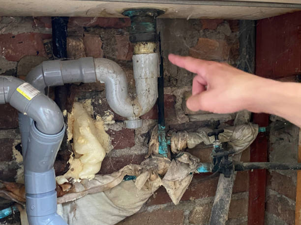 Best Sewage cleanup and water damage restoration  in Williamstown, WV