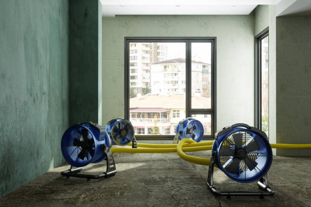 Best Residential water damage restoration  in Williamstown, WV
