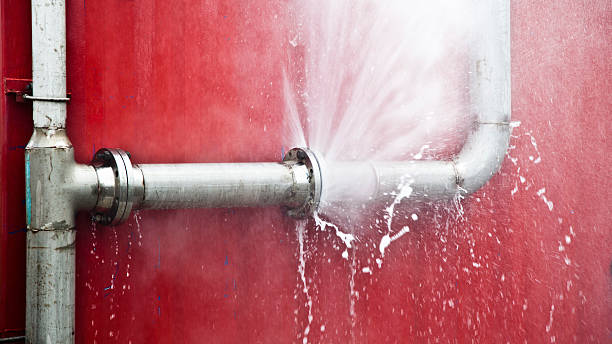 Best Flood restoration services  in Williamstown, WV