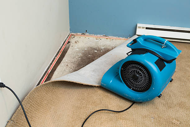 Water damage restoration mold remediation in Williamstown, WV